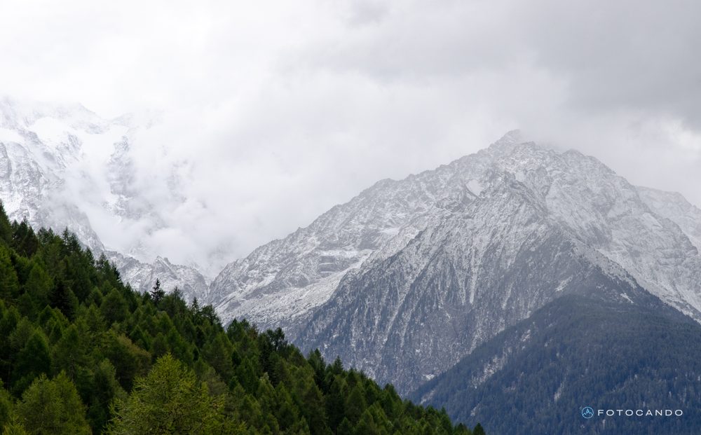 Snow-covered peak beyond the forest, August 2020