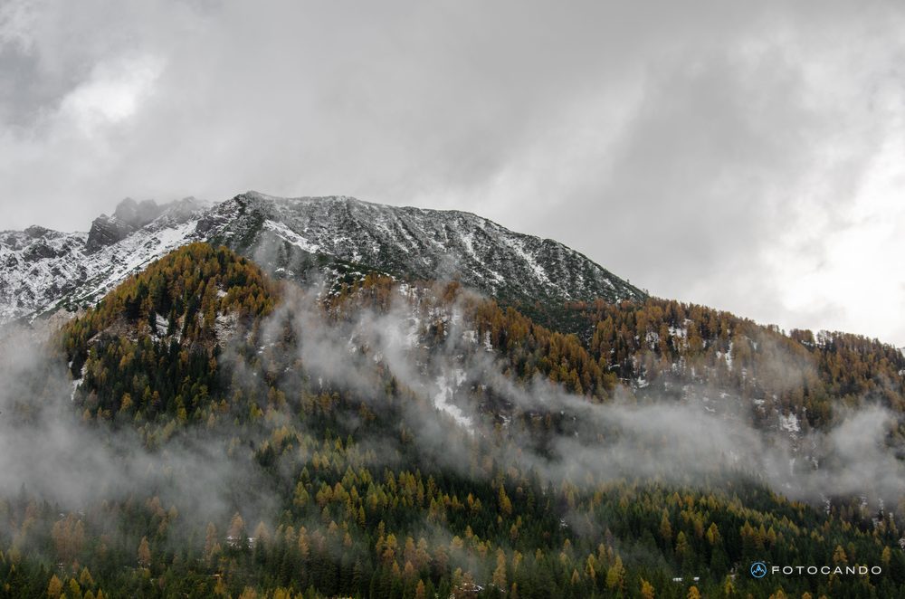 Autumn larches and fog beneath a snow-dusted peak
